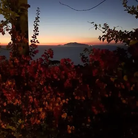 Апартаменты Sunset La Piccola Oasi Анакапри